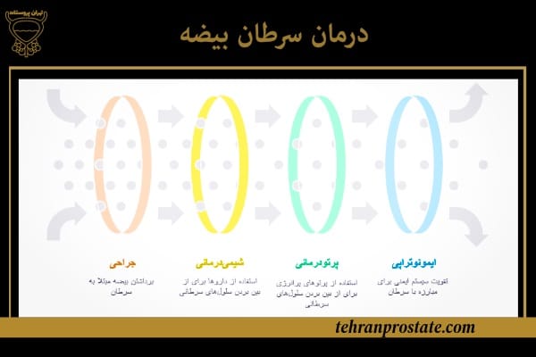 سرطان بیضه: علائم، علل و راههای پیشگیری و درمان 2 درمان سرطان بیضه
