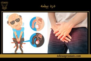 درد بیضه