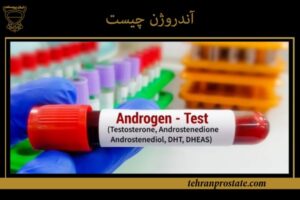 آندروژن چیست
