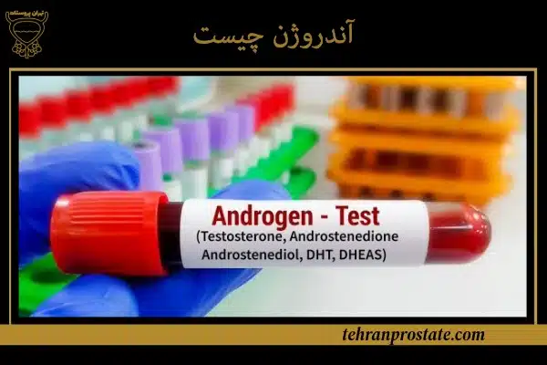 آندروژن چیست