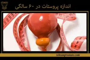 اندازه پروستات در ۶۰ سالگی