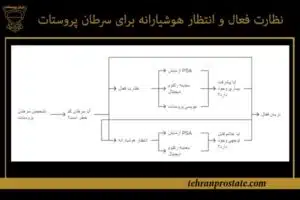 نظارت فعال و انتظار هوشیارانه برای سرطان پروستات
