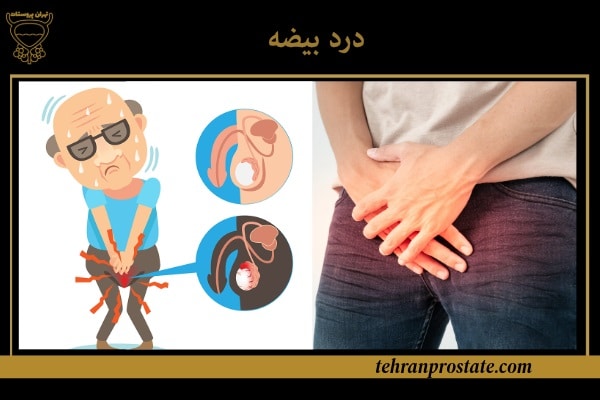 درد بیضه