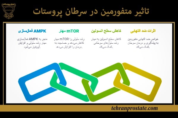تاثیر متفورمین در سرطان پروستات