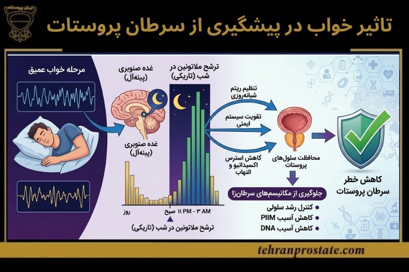 تاثیر خواب در پیشگیری از سرطان پروستات