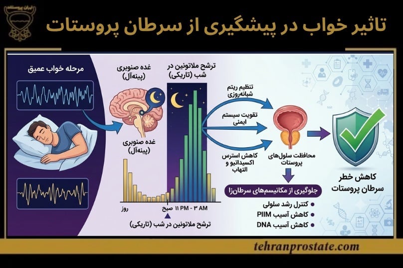 کلینیک تهران پروستات مرکز تخصصی درمان سرطان پروستات 18 تاثیر شگفت انگیز خواب عمیق بر سرطان پروستات